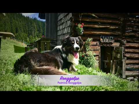 Sommer in Gargellen, Österreich / Summer in Gargellen, Austria / Leto v Gargellen, Rakúsko