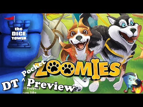 Zoomies - YouTube Video