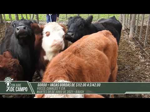 Resumen del remate de Rocco, Canales y Cía. - Martes 8 de junio de 2021 - Rauch