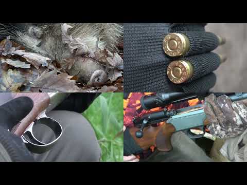 GOLDENE JAGDTAGE IM HERBST - Teil 4 - Drückjagd und Jagd auf Stockente | Jagd&Jagd