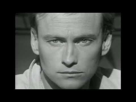 Videoclip de Broken Wings (Single Version) — Mr. Mister