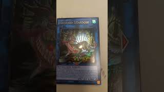 2025 Mega Tin pulls