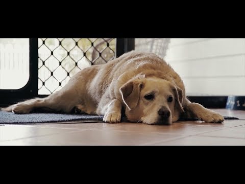 Sienna Skies - There's No Place Like... (Official Music Video)