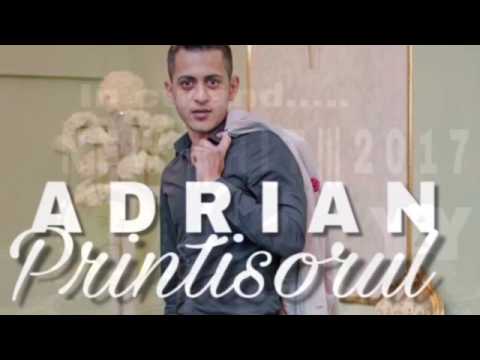 Ionut Printul Banatului & Adrian Printisorul-PROMO HIT 2017