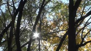 Brian Gladstone - A Song for Everyone