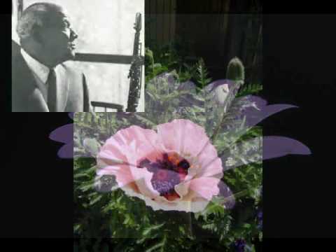 Sidney Bechet Petite Fleur online metal music video by SIDNEY BECHET