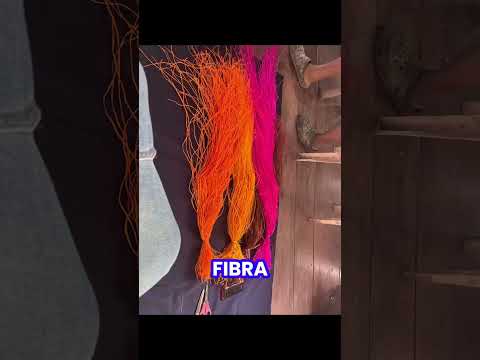 Artesanías Carurú Vaupés - IPUC #ipuc #arte #caruru #cumare