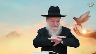 הלכות תשובה לרמב"ם | שיעור 3 | הרב יוסף צ. בן פורת - תשפ"ה (הרב יוסף צבי בן פורת) - התמונה מוצגת ישירות מתוך אתר האינטרנט יוטיוב. זכויות היוצרים בתמונה שייכות ליוצרה. קישור קרדיט למקור התוכן נמצא בתוך דף הסרטון