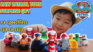 Surprised Dencel with his Fave Paw Patrol Toys| Unboxing Toys