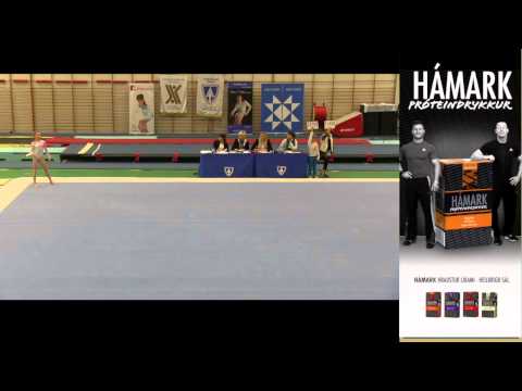 126   Gólf   Steinunn Anna Svansdóttir   Björk