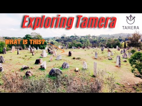 Exploring Ecovillage Tamera in Portugal