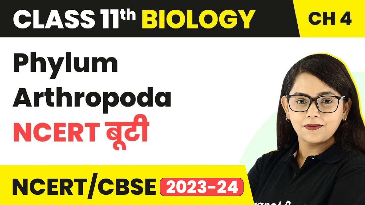 Phylum Arthropoda - NCERT बूटी - Animal Kingdom | Class 11 Biology Chapter 4 | NCERT/CBSE