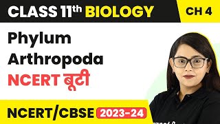 Phylum Arthropoda - NCERT बूटी - Animal Kingdom | Class 11 Biology Chapter 4 | NCERT/CBSE
