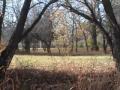 Little off-grid House on the Prairie 