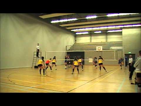 Inzicht Scylla dames 1