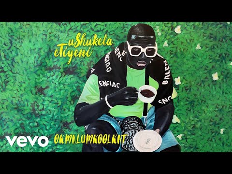 Okmalumkoolkat - Weh! Rhe! (Visualizer)