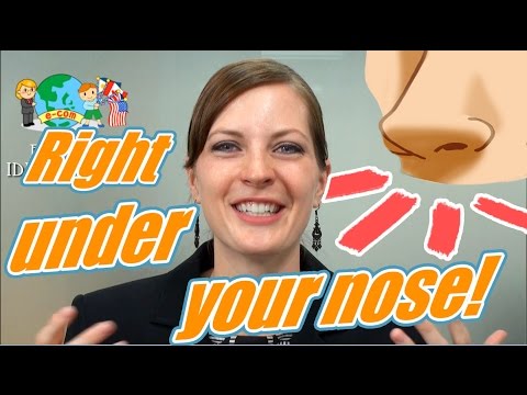 Englisch Redewendung 35/100: Right under your nose