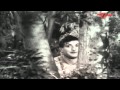 Bandipotu Songs Vagala Raanivi Neeve NTR Krishna Kumari