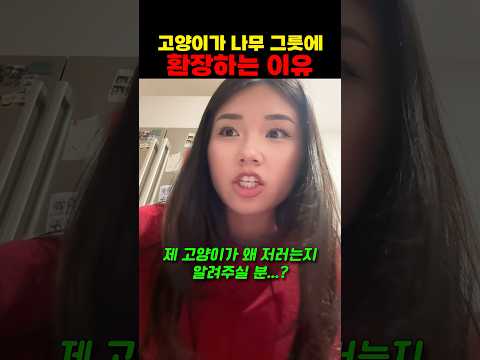 고양이가 나무 그릇에 환장하는 이유