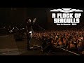 A Flock Of Seagulls - Hearts On Fire - Live in Ontario Video HD