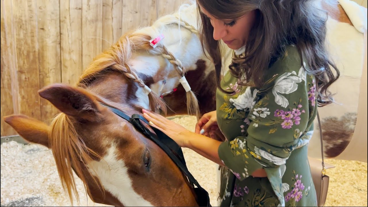 Neue Nachricht aus der Klinik - - Nach Jessys Not-Operation