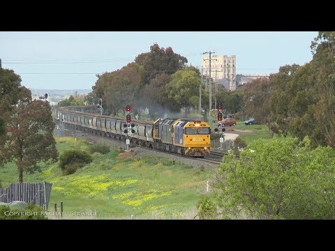 Pacific National Grain Train - PoathTV Australian Railways