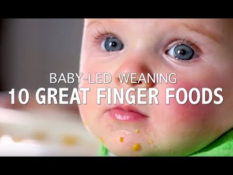 download lagu mp3 mp4 Good Finger Foods For 10 Month Old, download lagu Good Finger Foods For 10 Month Old gratis, unduh video klip Good Finger Foods For 10 Month Old