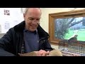 What's in the box? Abandoned pet at Wildlife Aid! thumbnail 2