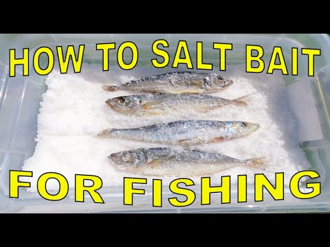 HOW TO SALT BAIT - FISHING - EP13