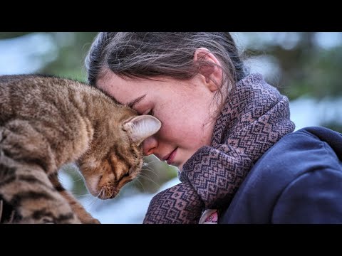 Трейлер