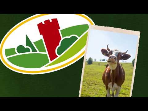 WASGAU AG - WASGAU Markenprodukte