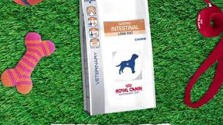 Gastro intestinal de Royal Canin
