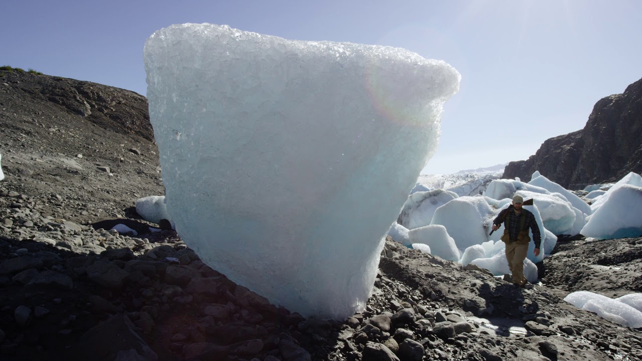 Closeness to the Wild