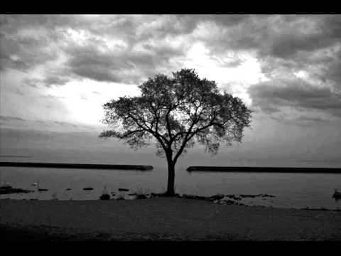 Rukkanor - A poison tree