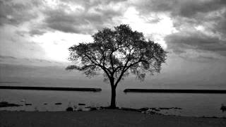 Rukkanor - A poison tree