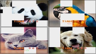 Epic drag puZOOls Steam Short Gameplay