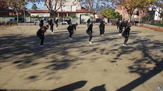 Miniatura del video