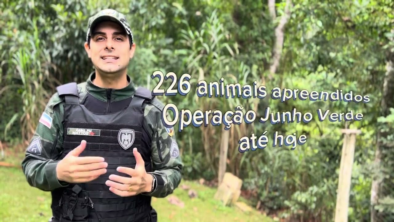 Do resgate à liberdade - Animais reencontrando o habitat natural