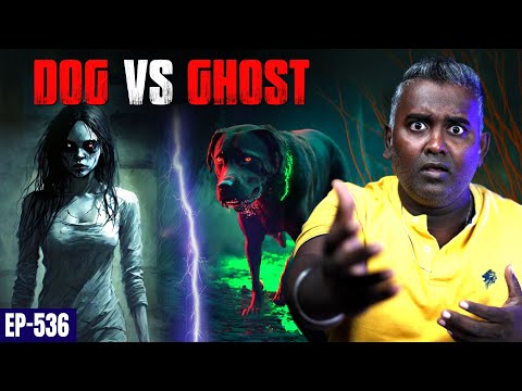 குடும்பத்தை காப்பாற்ற நாய் உருவத்தில் வந்த கடவுள் | நடந்தது என்ன ? | Varadharaja Stories