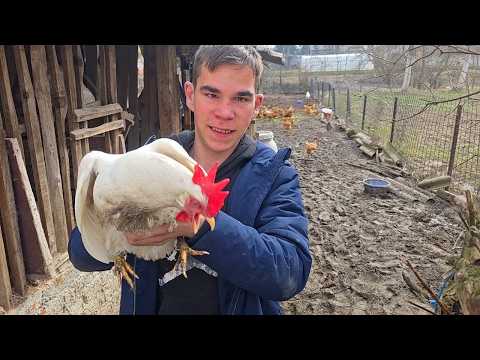 Zaimu koke stižu kao na traci, danas veliko iznenađenje