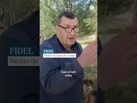 Esta casa sí que mola: La casa ovni