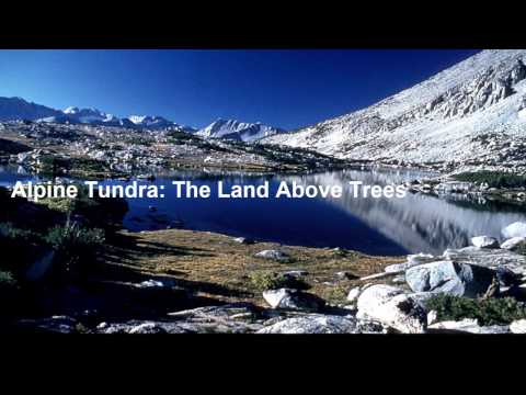 Alpine Tundra Biome