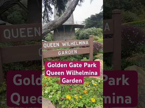 Queen Wilhelmina Garden #goldengatepark #sanfransico #california #flowers #windmill #beautiful #fyp