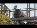 The Best Sounding Broadmoor Escape Siren 9 Years Ago Siren L Mrmattandmrchay