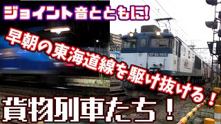 【花月園前踏切】早朝の東海道線を駆ける貨物列車！