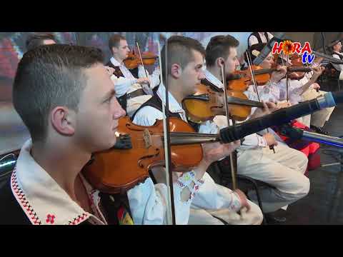 VASILE COCA - Geaba sunt copil sarac - Live