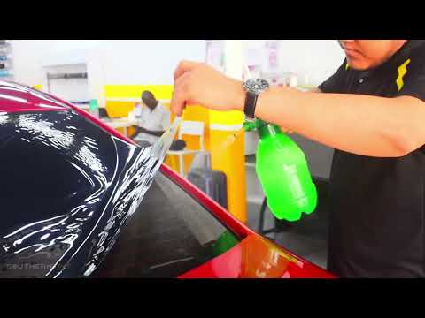 𝐒𝐨𝐮𝐭𝐡𝐞𝐫𝐧 𝐓𝐢𝐧𝐭 𝐌𝐚𝐬𝐚𝐢 𝐁𝐫𝐚𝐧𝐜𝐡-𝑻𝒐𝒚𝒐𝒕𝒂 𝑽𝒊𝒐𝒔 (𝑭𝒖𝒍𝒍 𝑪𝒂𝒓 𝑻𝒊𝒏𝒕𝒆𝒅)