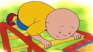 Caillou English Full Episodes  Caillou and the Too