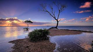 Fire & Ice - Lost Emotions (Bryan Kearney Remix)
