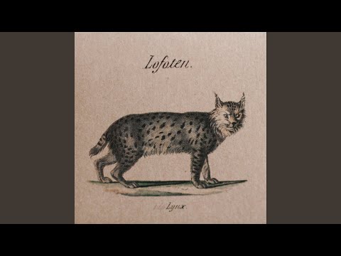 Trilltrall, Numedalshalling, El Testament d'Amèlia